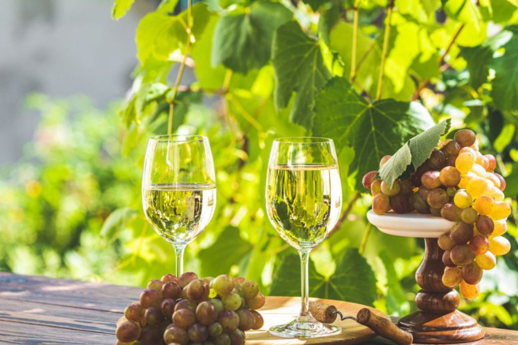 erreurs saint emilion