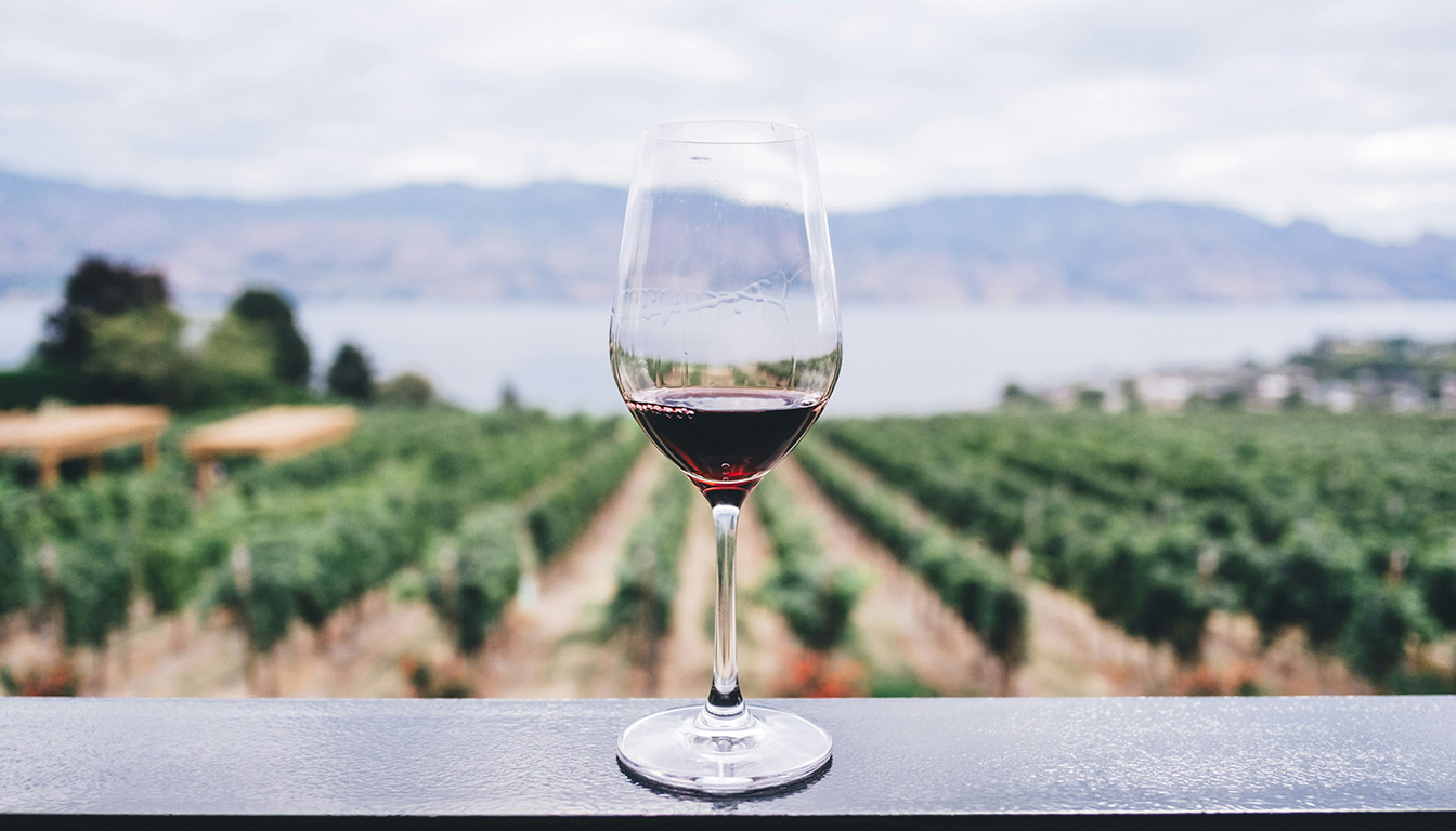 découvrez la carte des vins de bordeaux, explorez les appellations prestigieuses de la rive droite et de la rive gauche, et apprenez tout sur les crus incontournables de cette région viticole renommée.