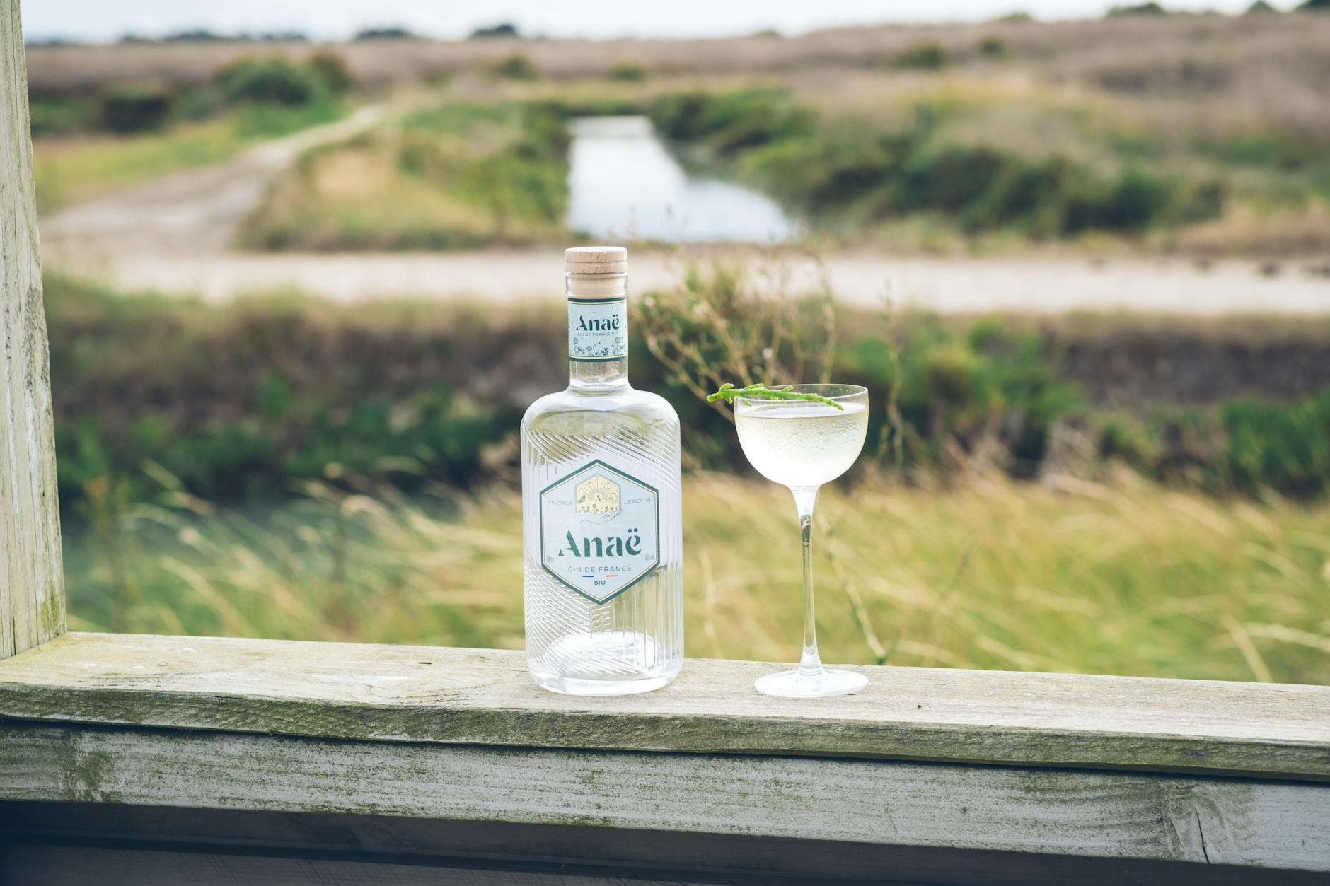 Avec quoi est fait le gin : la base alcoolique et le rôle capital de l’eau — bouteille de gin avec botanique et herbes
