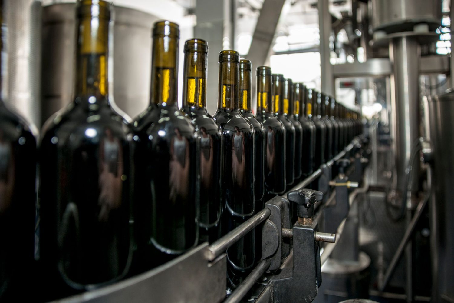 Comment est fait le vin sans alcool : procédés pour rouge et blanc expliqués