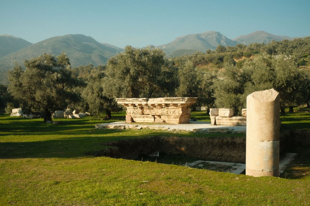Livio origine, signification et histoire — paysage d'olivier romain ancien