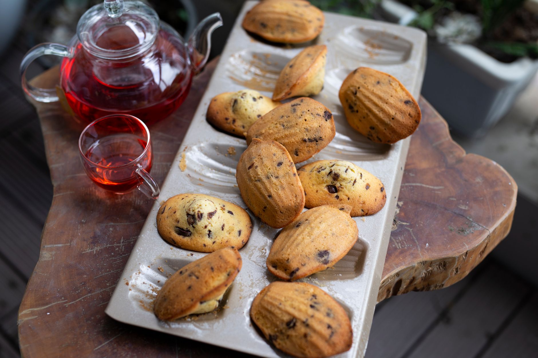 Madeleines Bijou, une tradition pâtissière française ancrée dans le temps — madeleines françaises sur une assiette