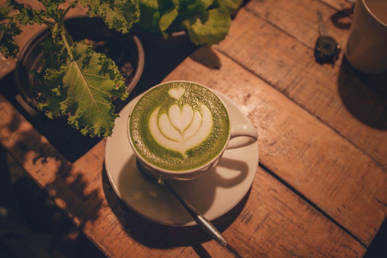 Milia Matcha : concept, adresses à Paris et avis sur la marque