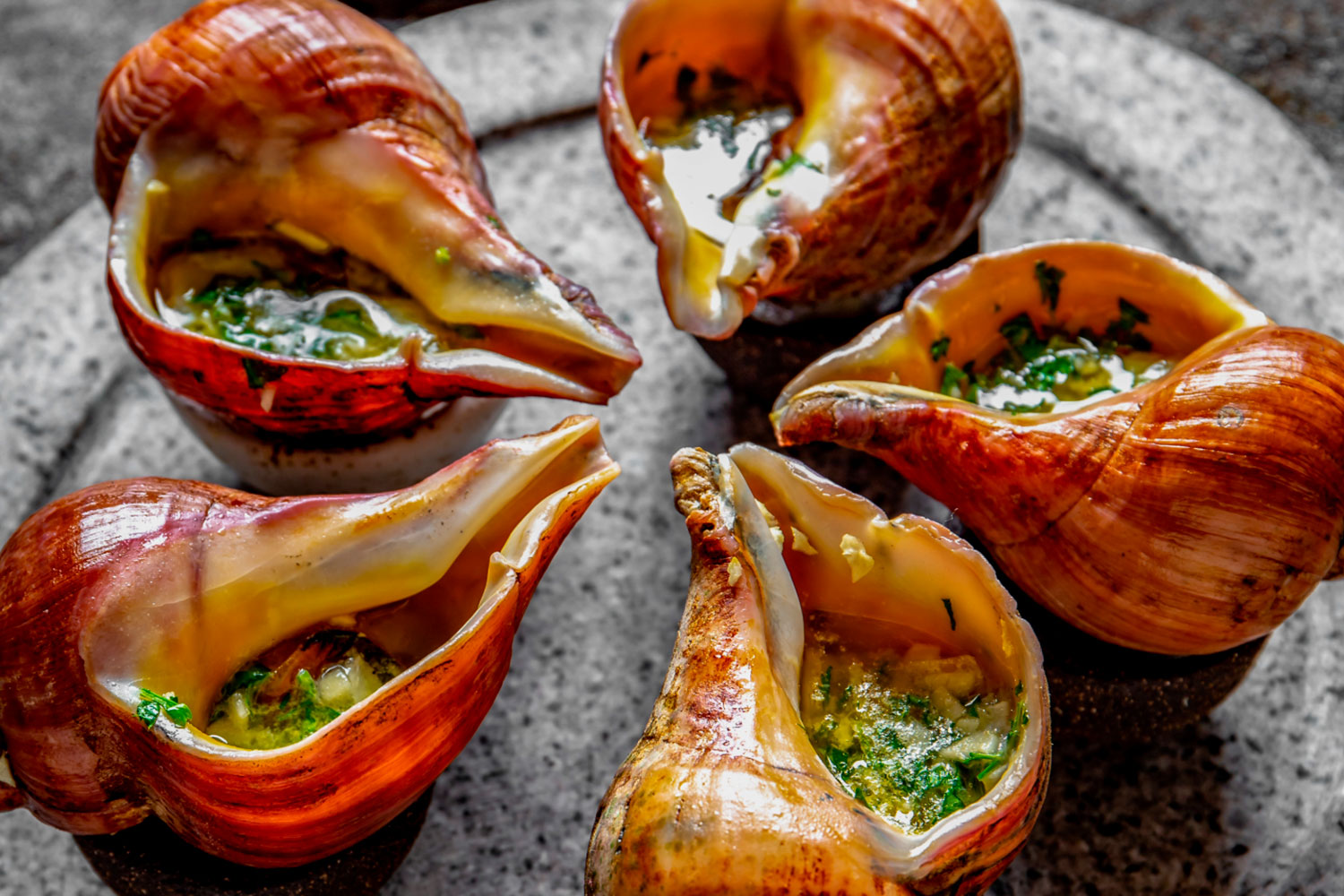 découvrez comment cuire les bulots à la vapeur ou au cookeo, frais ou surgelés, avec des astuces simples pour une cuisson tendre et savoureuse.