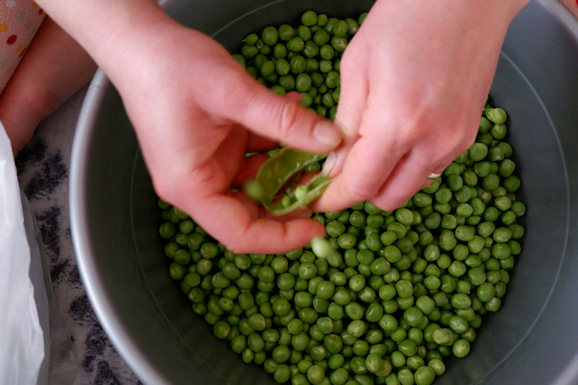 découvrez combien de minutes cuire les petits pois frais à l’eau pour préserver leur couleur, leur saveur et obtenir une texture parfaite.