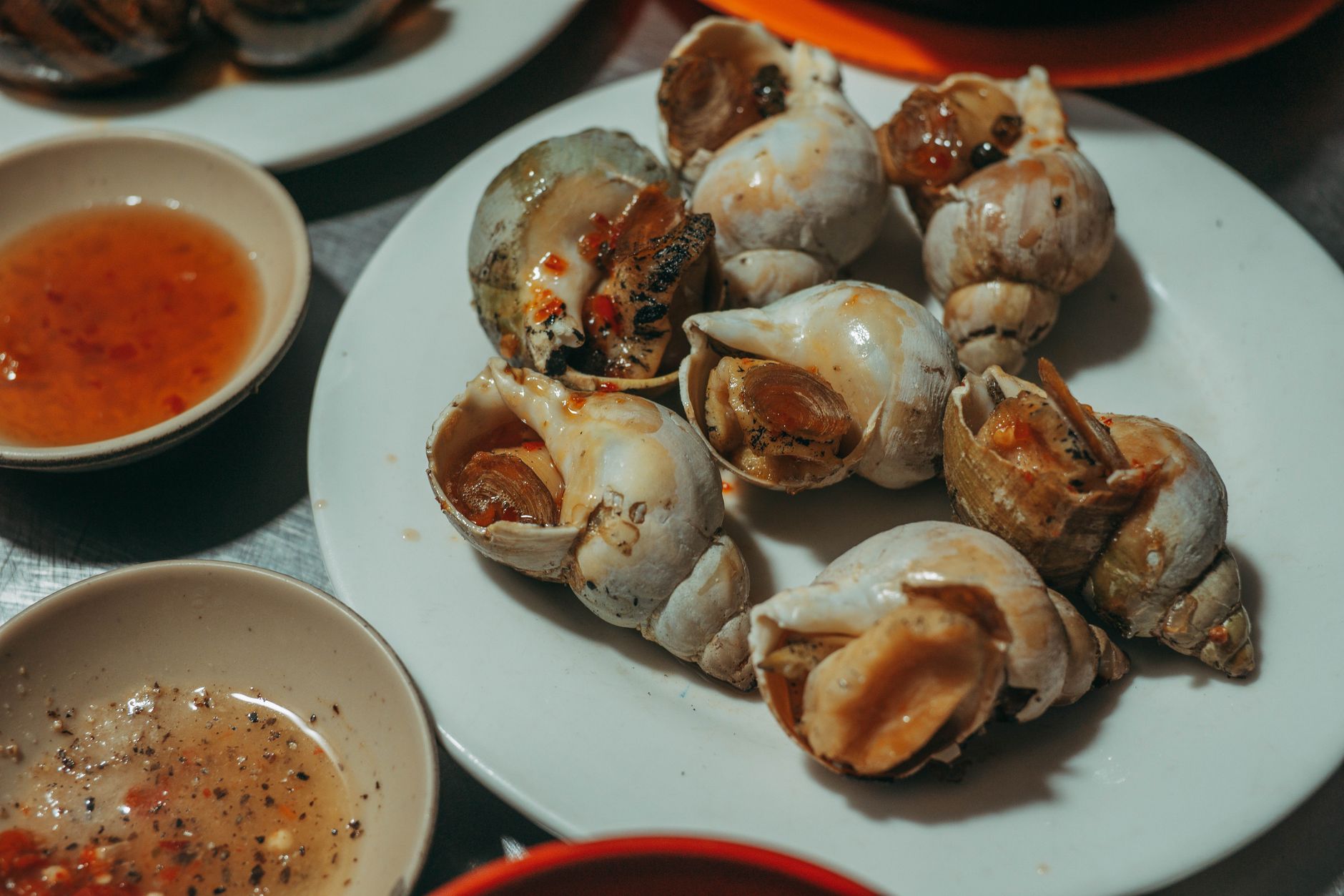 Préparation des bulots frais : le dégorgeage avant la cuisson — bulots cuits plat de fruits de mer