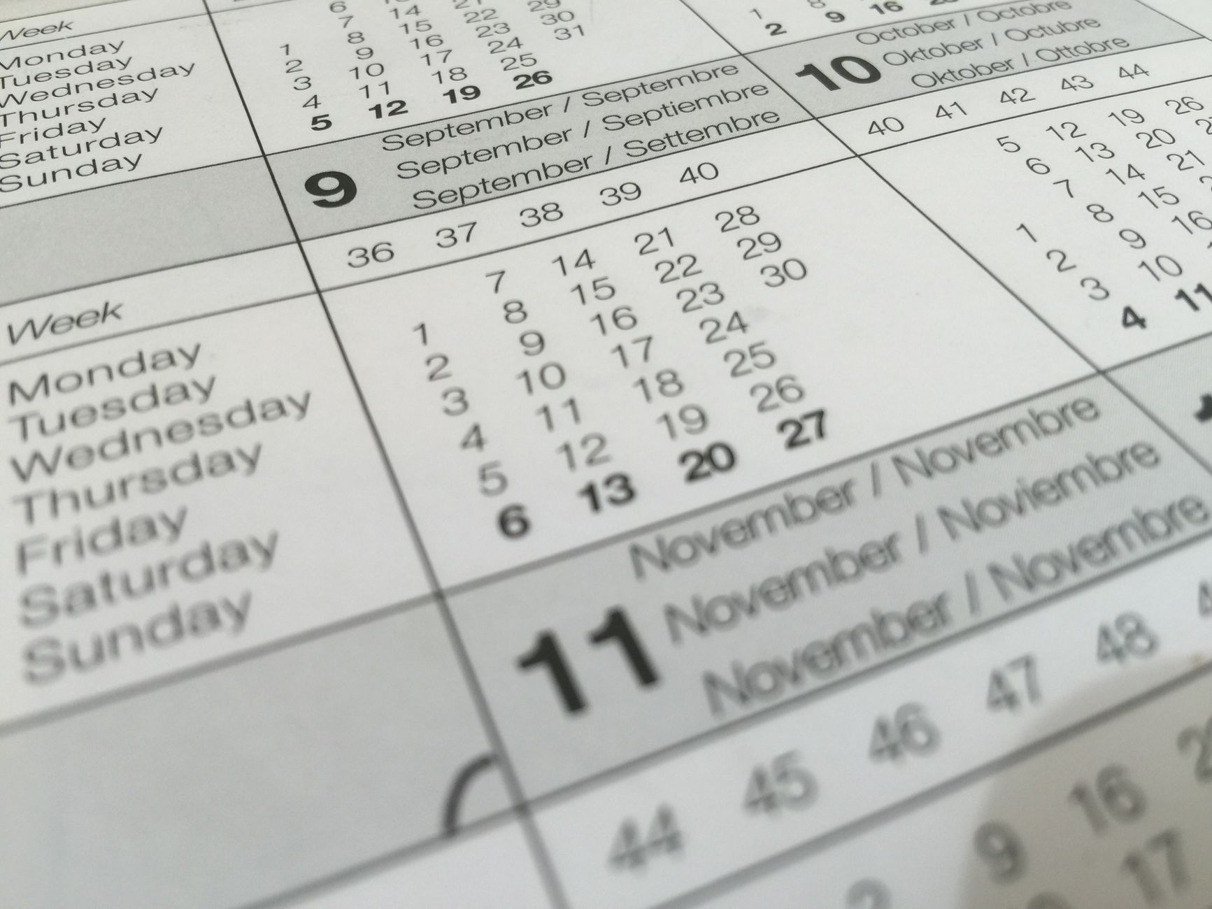 Signification de la DCR : à quoi correspond cette date sur les œufs ? — Date DCR : signification, utilisation et différences avec DLC et DDM